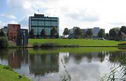 荷兰商学院MBA