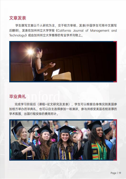 图片833