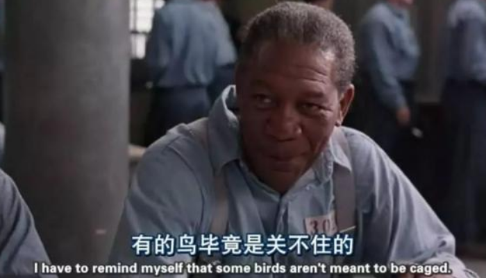 三十五岁博士（在读或已毕业），如何度过中年危机，办法有哪些？