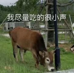三十五岁博士（在读或已毕业），如何度过中年危机，办法有哪些？
