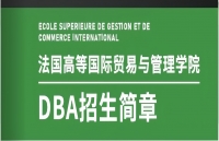 法国ESGCI 高等国际贸易与管理学院DBA